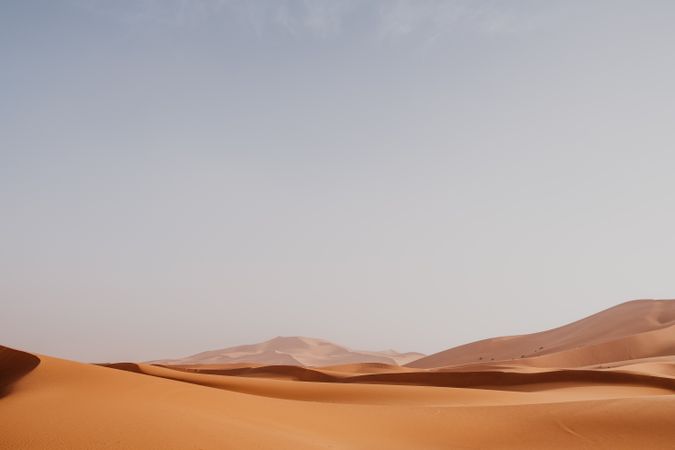 Sandy dune in arid desert