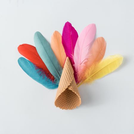 Colorful feathers with waffle cone on light background