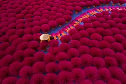 Top view of Vietnamese workers setting up incense sticks in Quang Phu Cau, a village in Hanoi, Vietnam