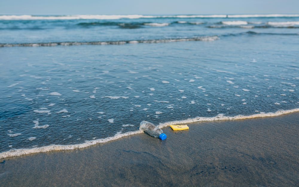 Garbage on the seashore