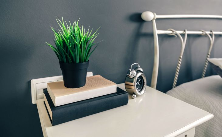 Bedside table with books and plant
