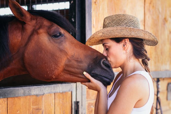 Woman taking care of his brown horse in the stable