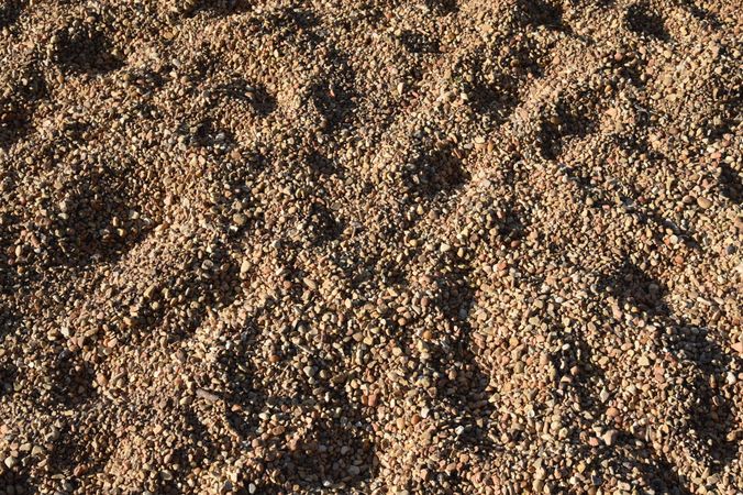 Prints in gravel