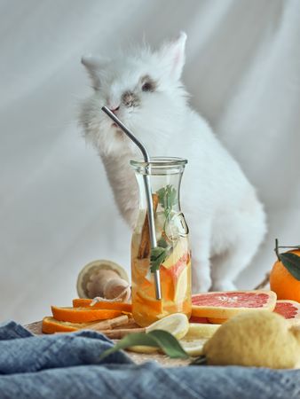 Fluffy rabbit near detox water