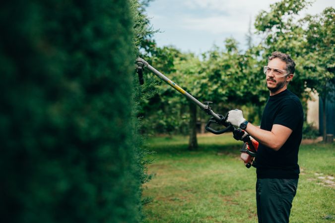 Man pruning arizonica hedge