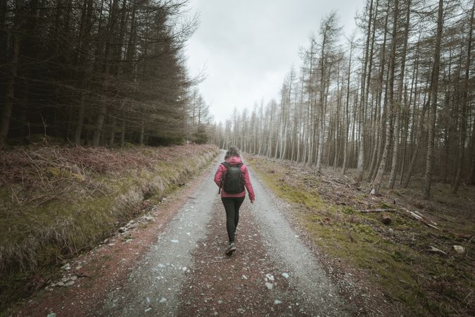 Tourist walking on footpath in forest park