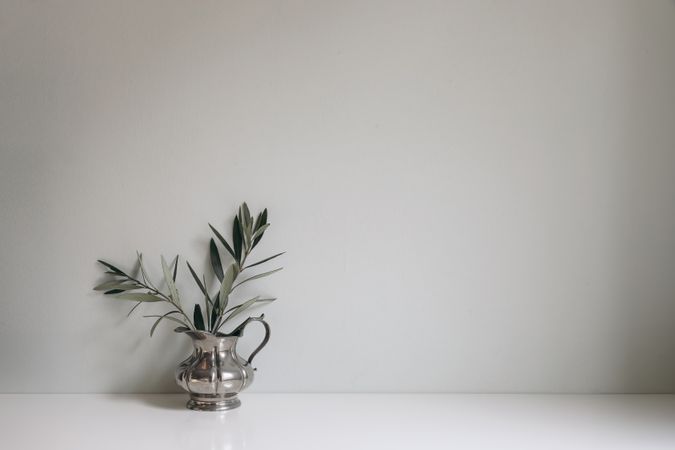 Olive tree branches, twigs in silver jug vase on table