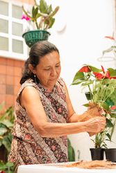 Colombian Woman Home Details
