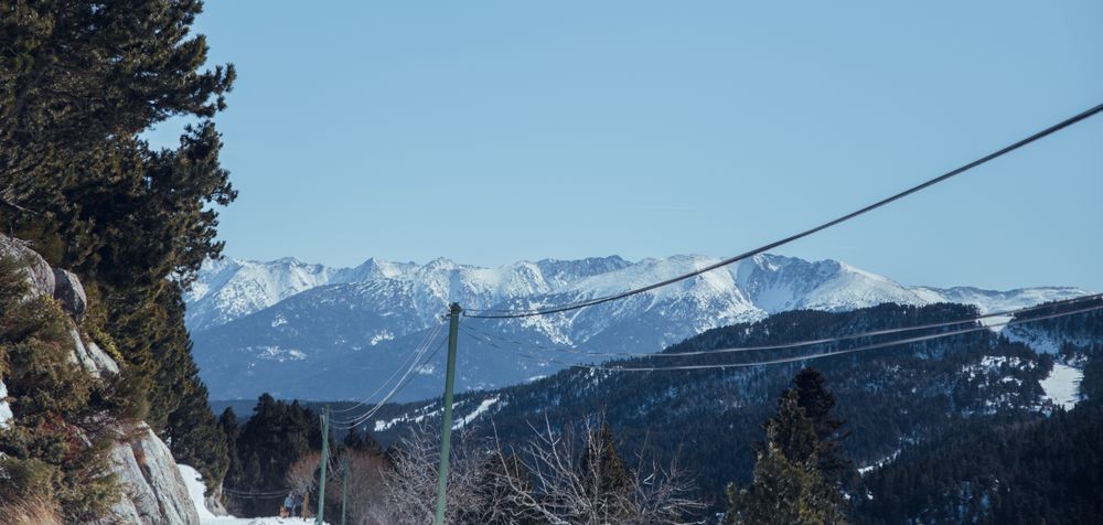 Picturesque view of mountains with forest in snow