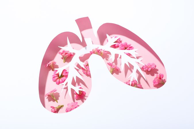 Lung shape cut out of paper with bronchus and flowers underneath