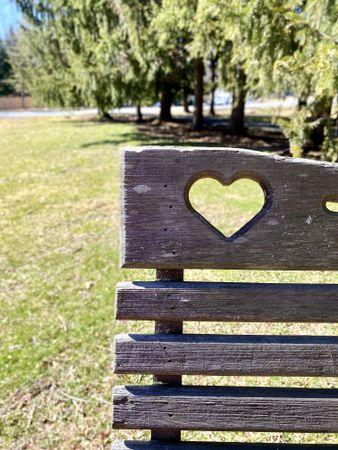 Brown wooden bench with heart carving in garden
