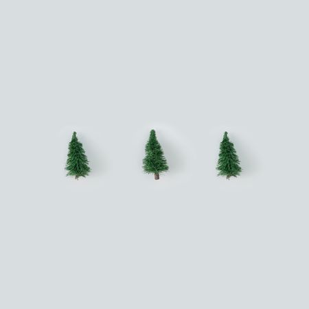Row of Christmas trees on gray background