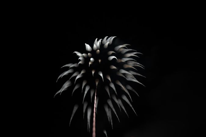 Bright fireworks on night sky
