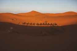 Shadow of camel caravan on sand dune