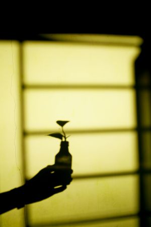 Shadow of person holding a glass bottle with leaf, vertical