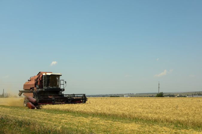 Red combine harvester in barley field. Agriculture and farming