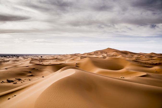 Sand dunes in Sahara desert