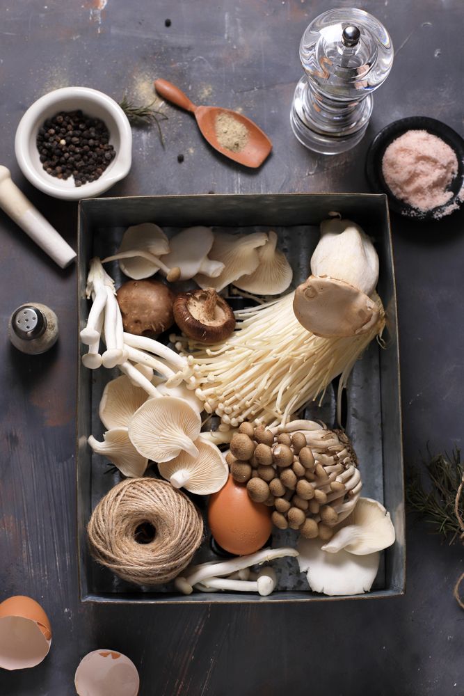 Various Raw Mushroom Types Portobello Mushrooms, Champignons, Shimeji Mushrooms. Mushrooms Background, Rustic Mood.