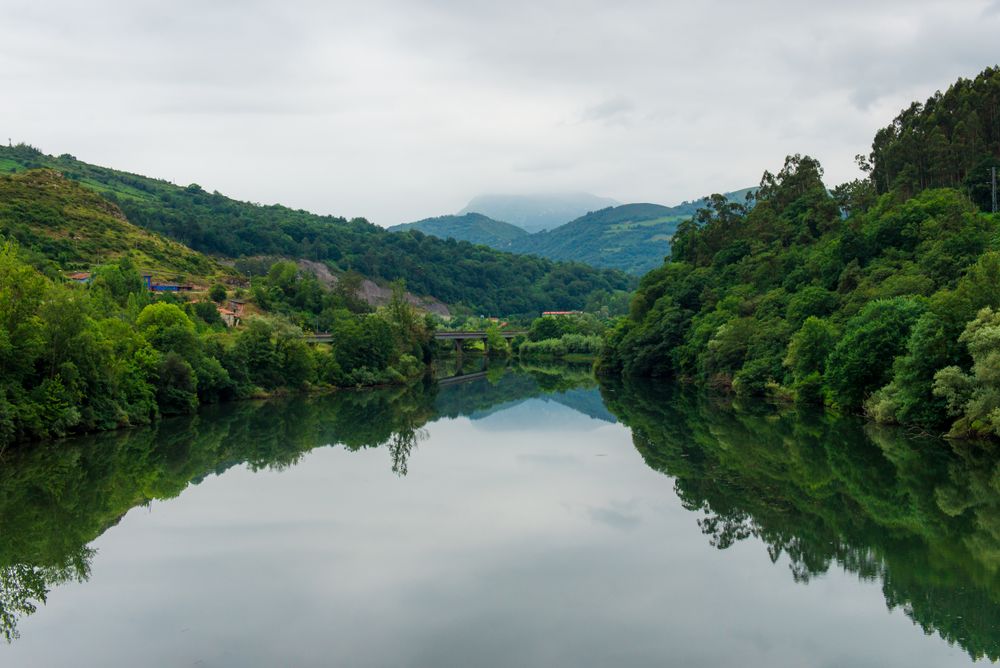 Peaceful river flowing in green nature