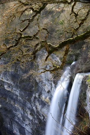 Autumn tree and waterfall