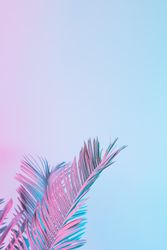 Tropical and palm leaves in vibrant bold gradient holographic colors