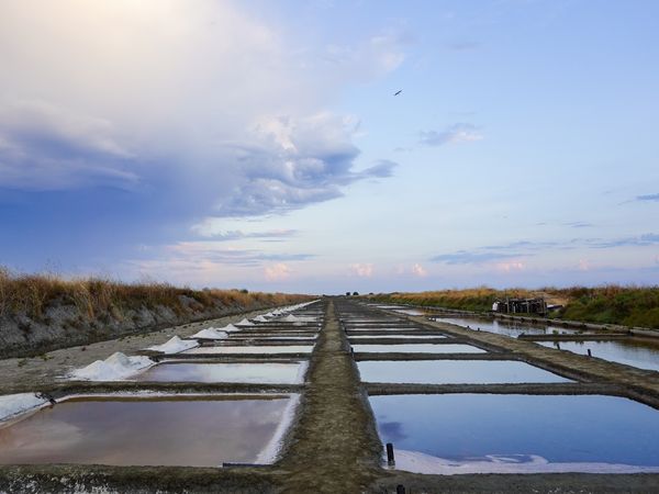 Salt mounds and pans at the break of dawn