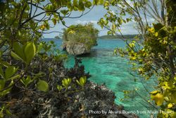 Photograph of the natural seascape of turquoise waters surrounding the Togian Islands, Indonesia 4BLX30