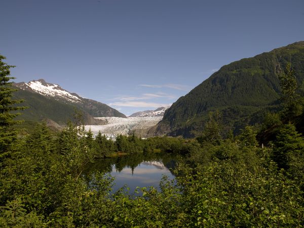Mendenhall Glacier in Alaska behind lush green forest lake