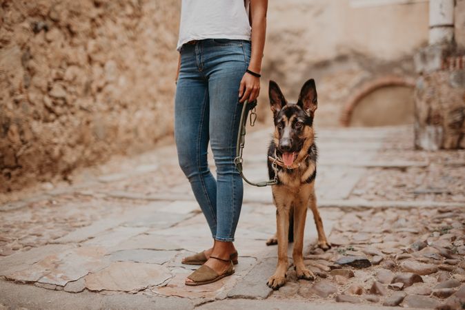 Adorable german shepherd with owner on street