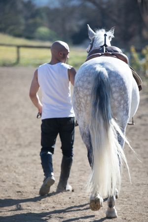 Rear view of a man in sleeveless shirt walking with his horse