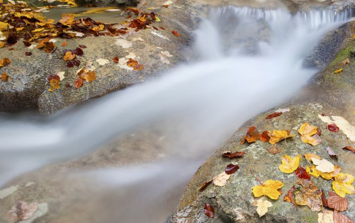 Amazing waterfalls of aquifer with bright vegetation