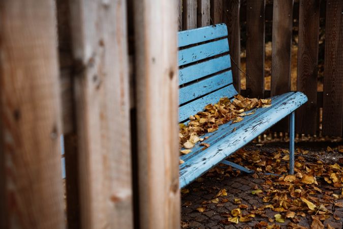 Blue wooden seat and fence with autumn leafage