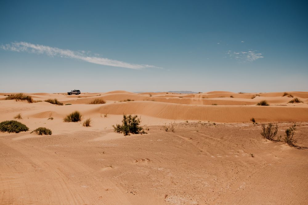 Car tracks on sand in desert