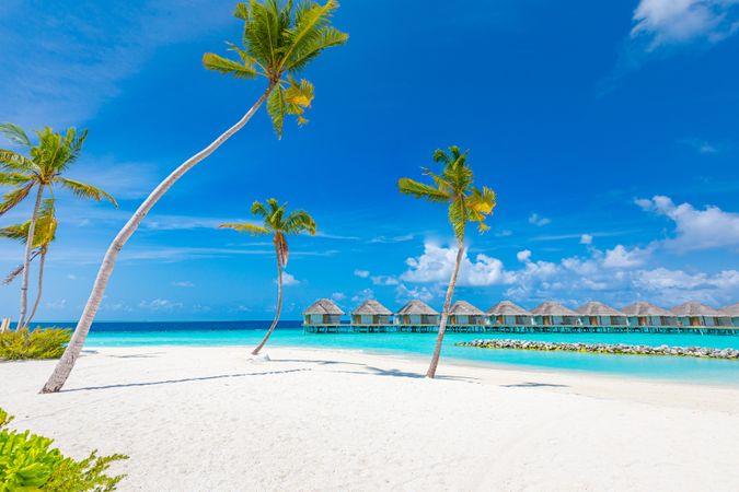 Palm trees on a beautiful beach with holiday villas in the background