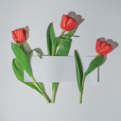 Tulips wrapped in light paper card note