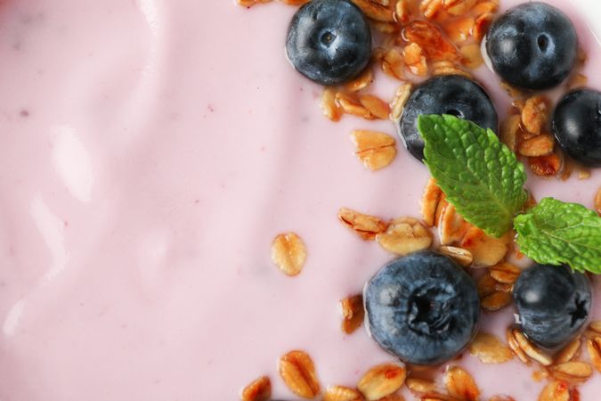 Yogurt with granola, blueberry and mint closeup