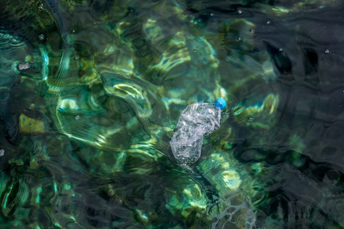 Plastic bottle floating on water