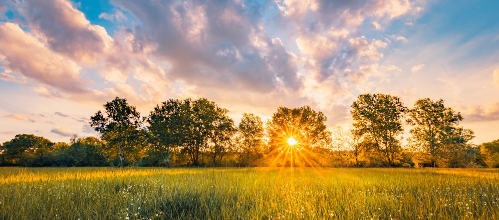 Tranquil field at sunset with sun flare, wide