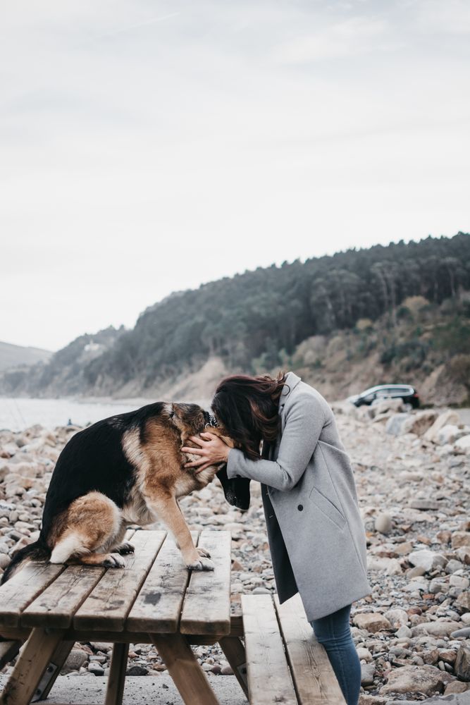 Young woman hugging sad dog on seashore