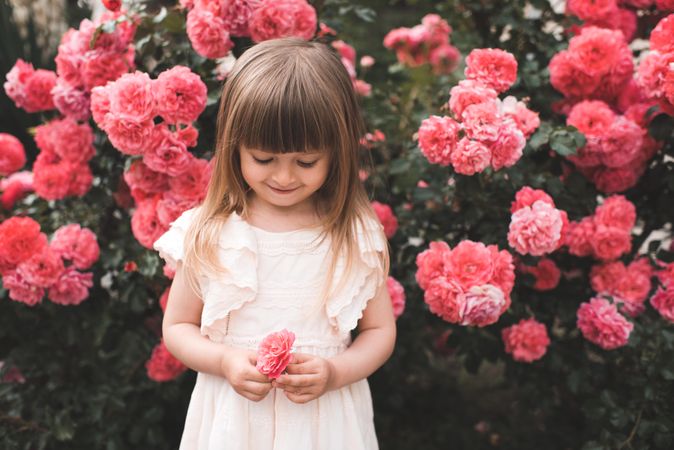 Girl in pink dress posing with pink rose flowers outdoor