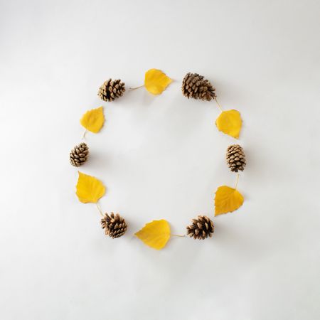 Circle of yellow and pinecone with copy space