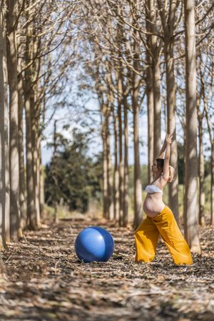 Adult pregnant woman training with pilates ball in park during sunny day
