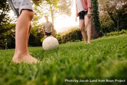 Football on grass with family standing around outdoors in park bDYNy0
