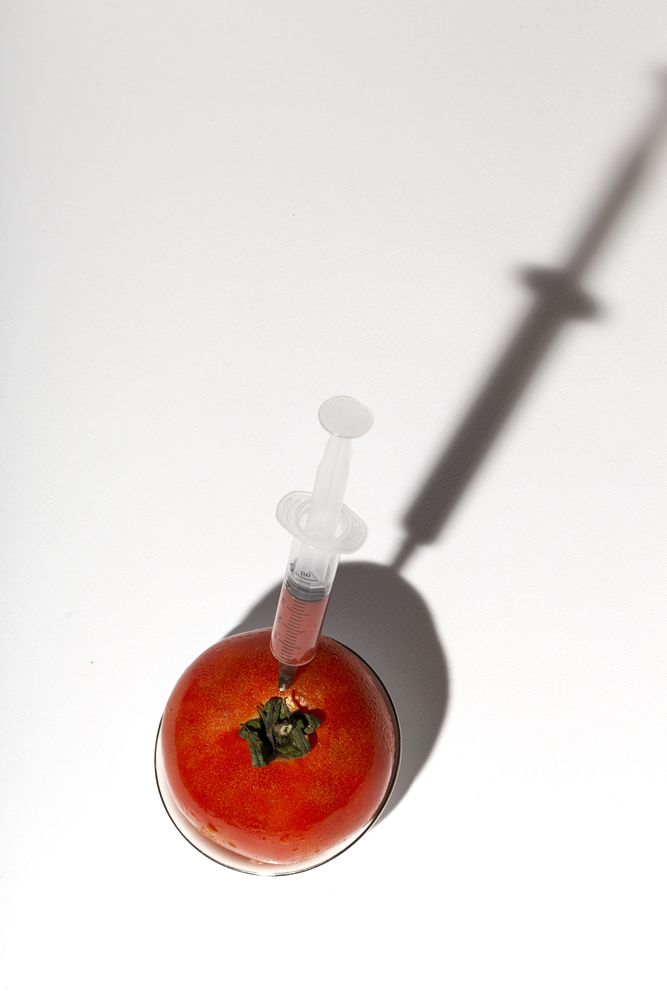 Paint injection into ripe tomato