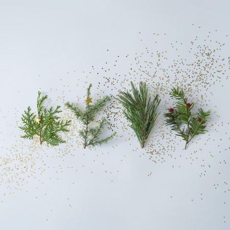 Holiday pine tree branches with glitter in a row on a light background