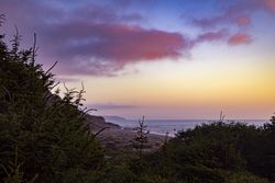 Beautiful view of the coast between bushes