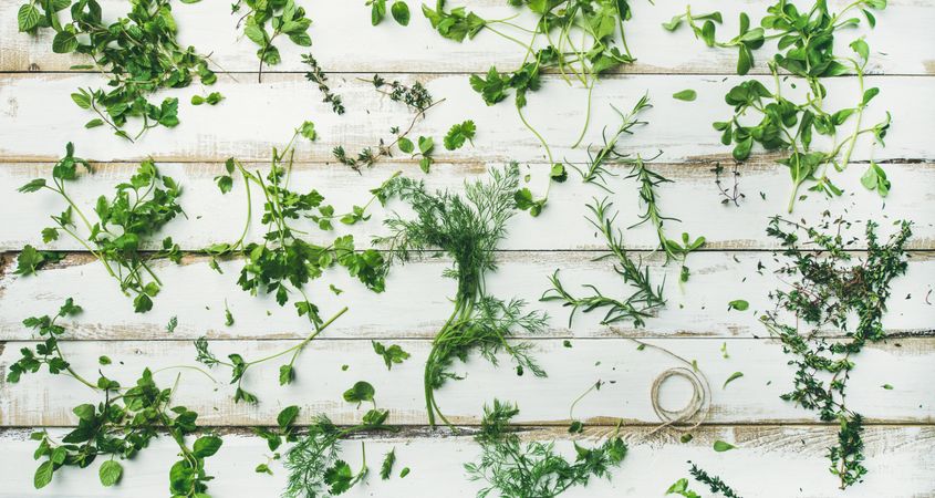 Freshly cut garden herbs laid out on light wood background