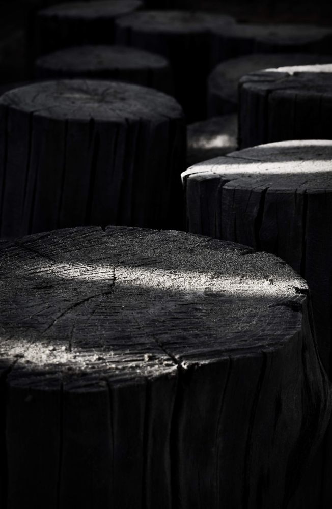 Grayscale photo of wood logs