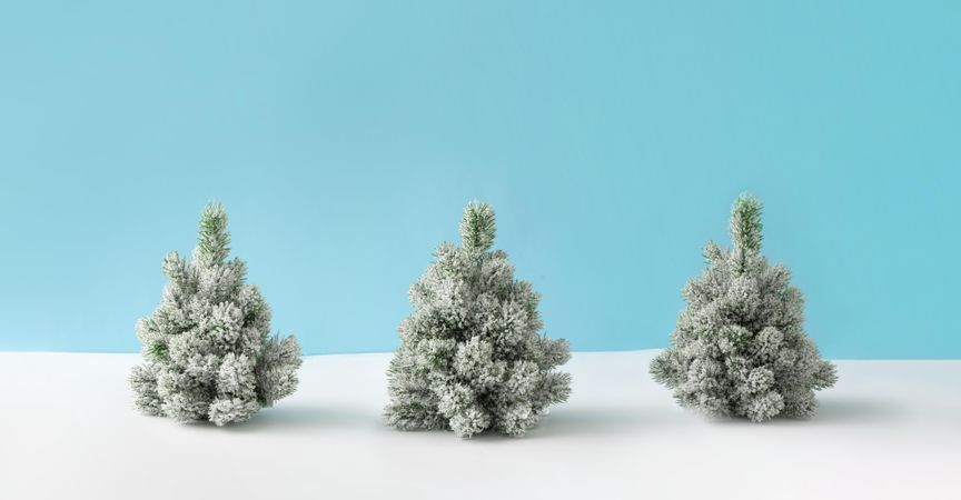 Three snowy Christmas trees on blue background