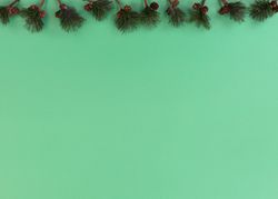Christmas fir branches on green setting